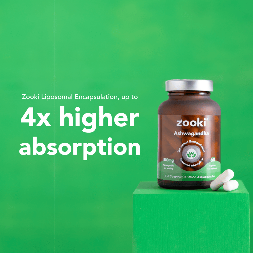 Liposomales Ashwagandha KSM-66 - 500 mg - Image 4