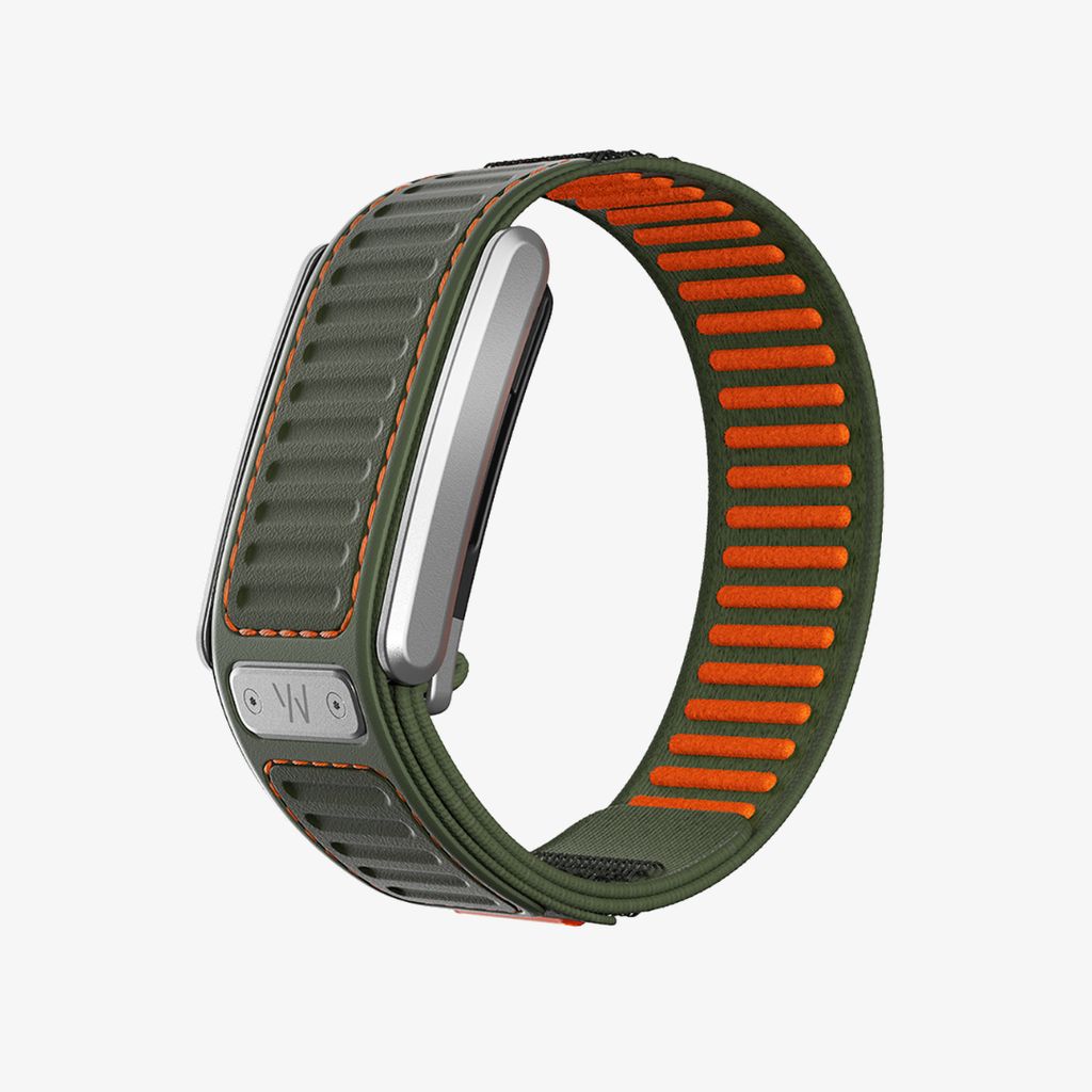 Navigator 5.0 - Evergreen - Image 2
