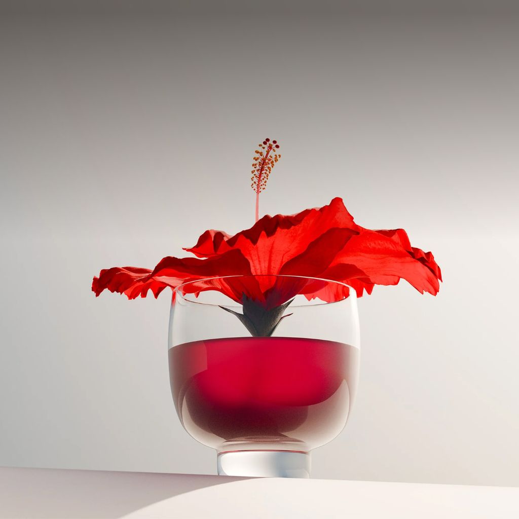 Hormonbalance – Hibiskustee - Image 4