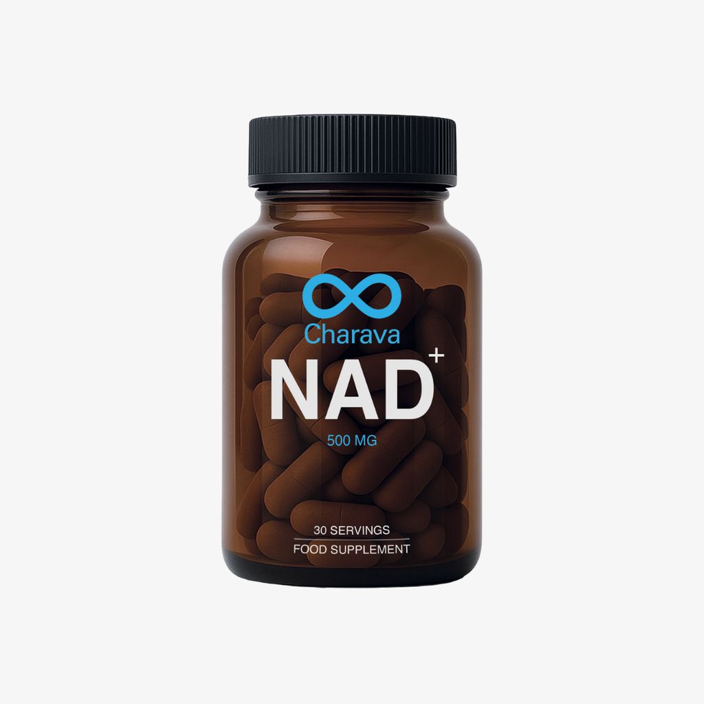 NAD+500 – Nicotinamidadenindinukleotid - Image 1