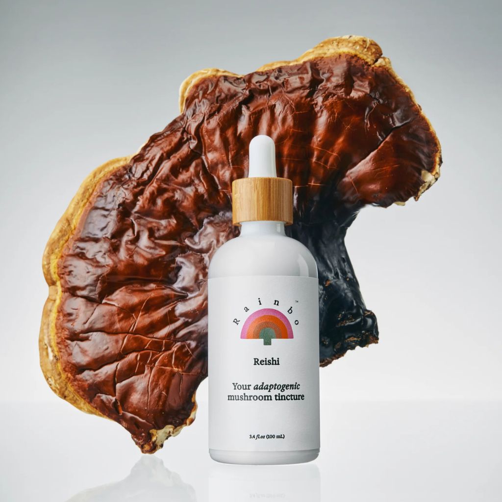 Reishi – Adaptogener Superpilz - Image 5