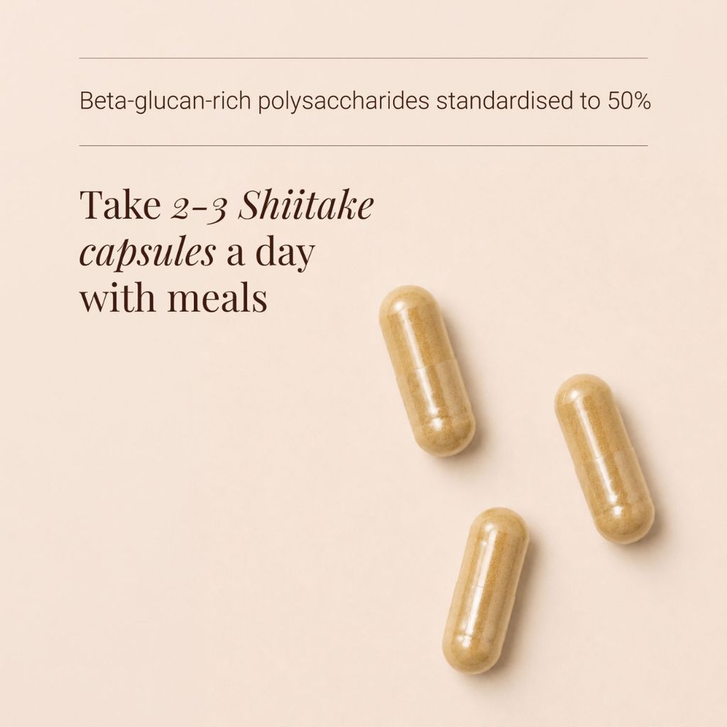 Bio-Shiitake-Extrakt - Image 3