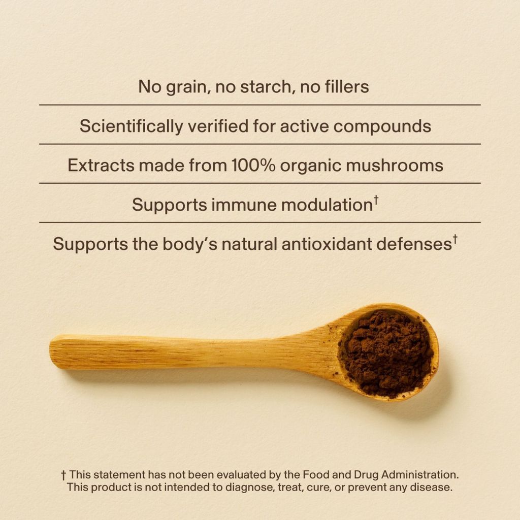 Chaga-Pulver - Image 4