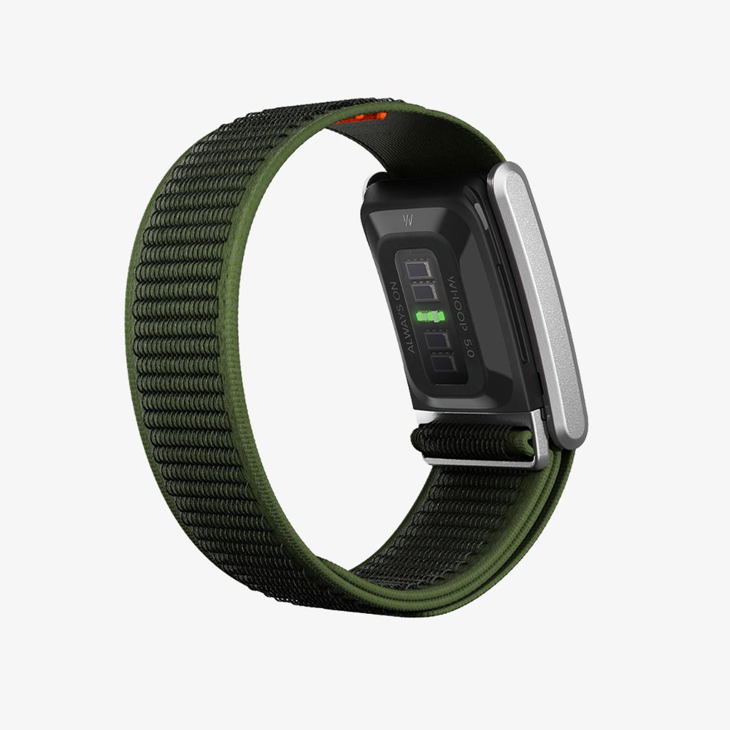 Navigator 5.0 - Evergreen - Image 3