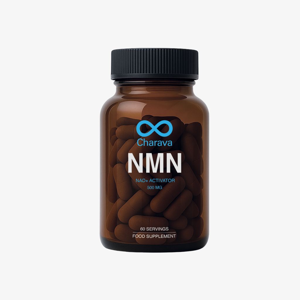 NMN 500 – Nicotinamid-Mononukleotid - Image 1