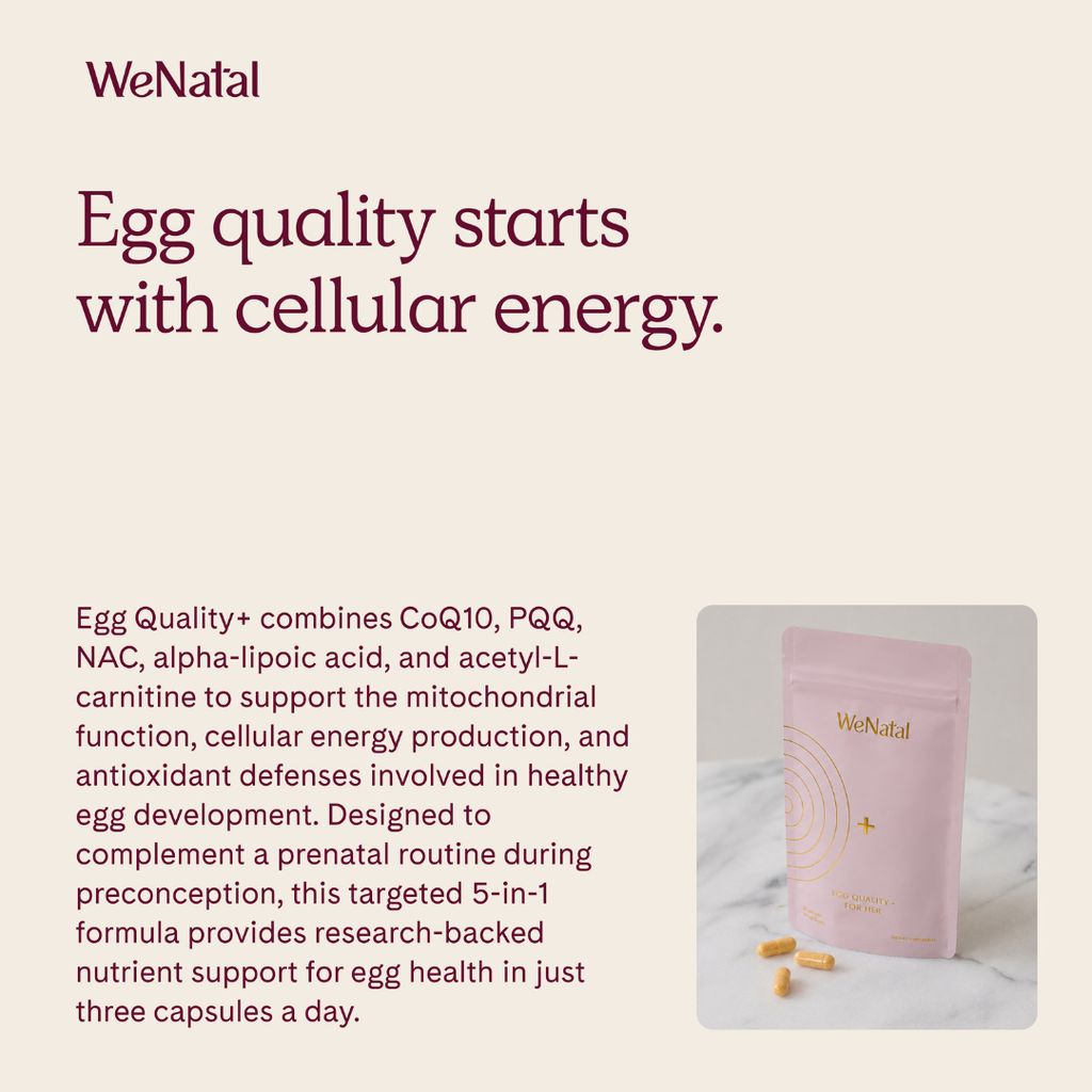 Eiqualität + - Image 5