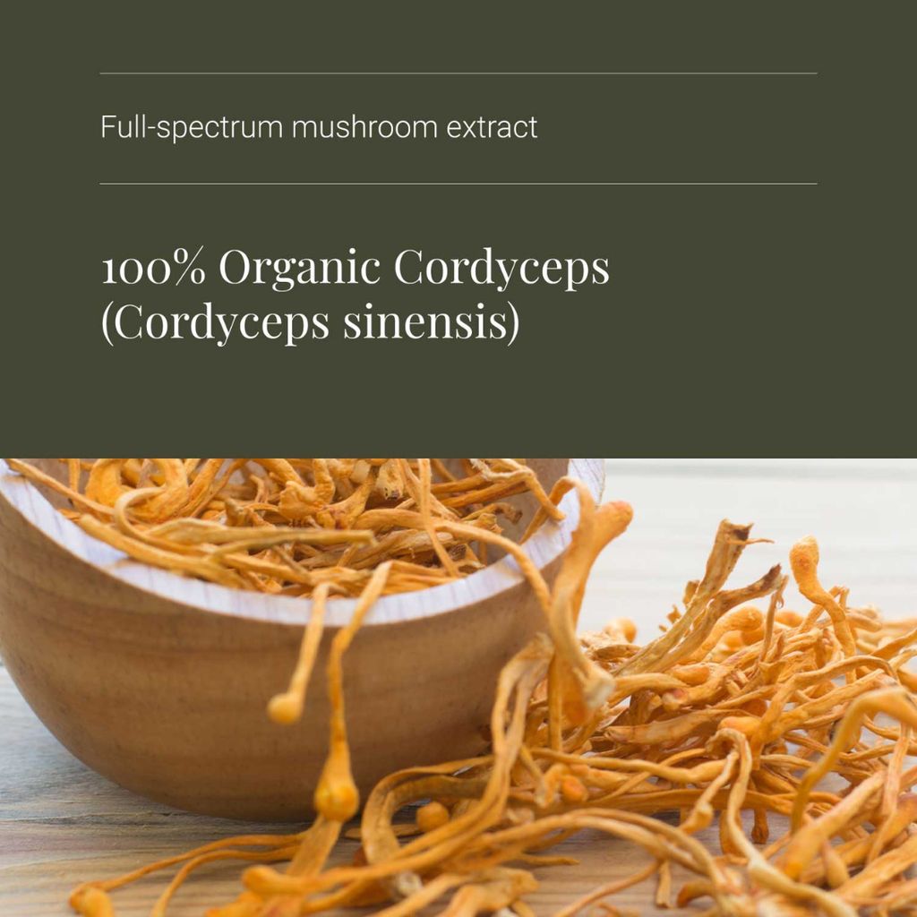 Bio-Cordyceps-Extrakt – Vegetarische Kapseln - Image 4