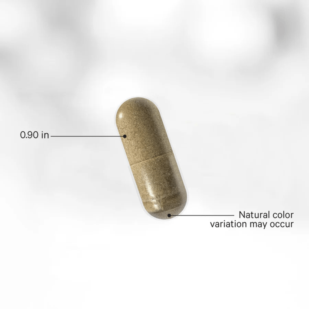 Rinderorgane - Image 4