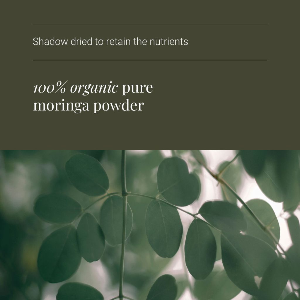 Bio-Moringa-Blatt - Image 4