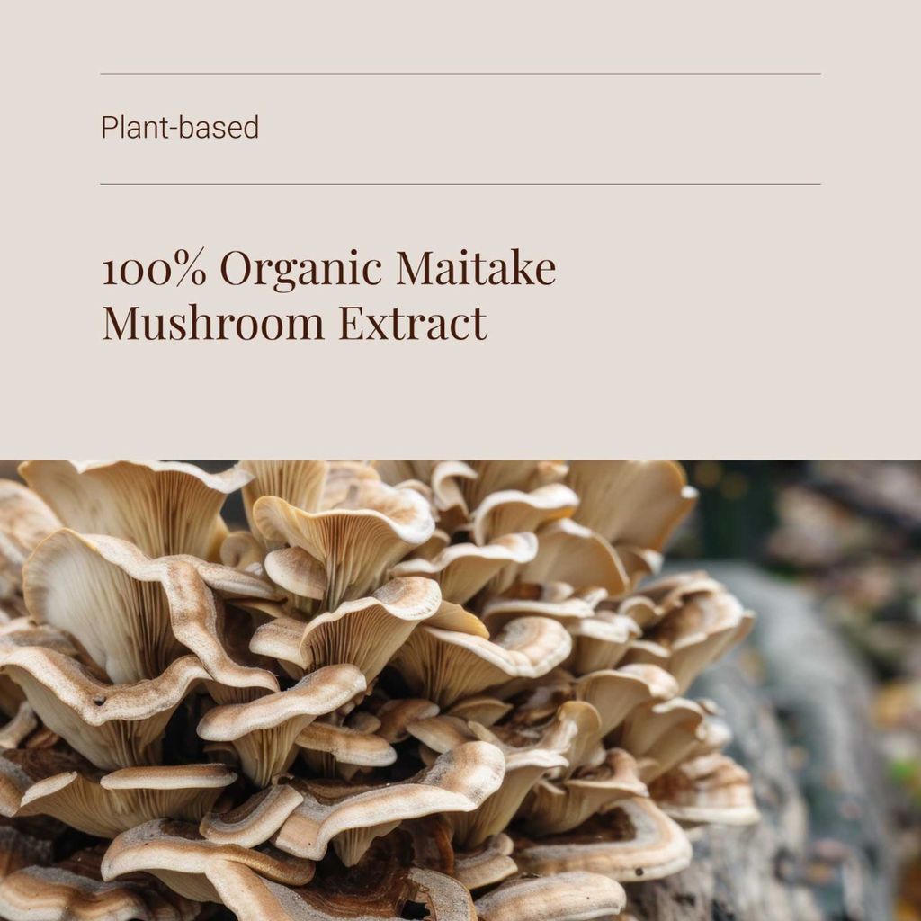 Bio-Maitake-Pilzextrakt - Pulver - Image 4