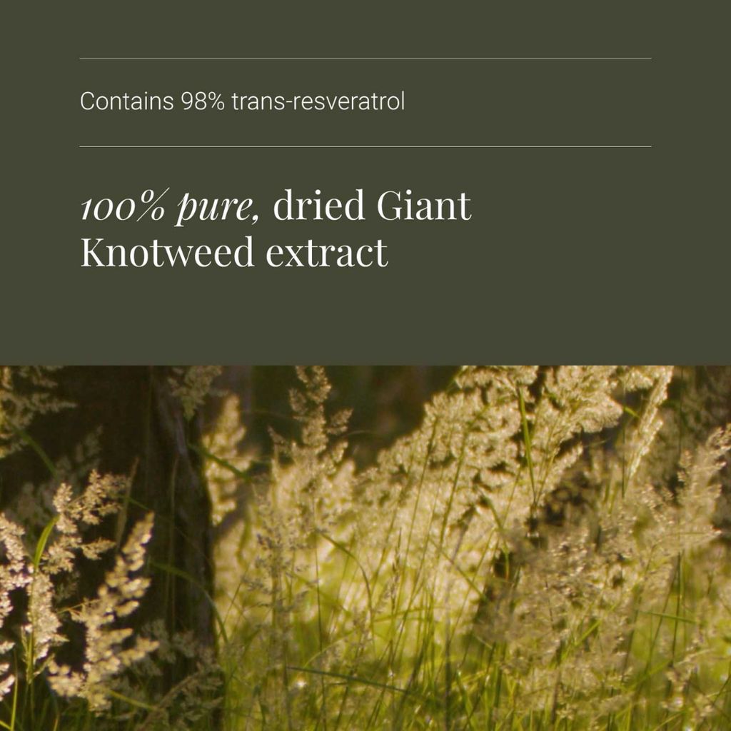 Resveratrol - Image 4