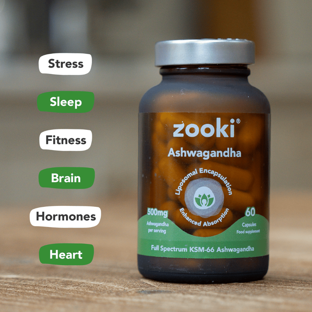 Liposomales Ashwagandha KSM-66 - 500 mg - Image 2