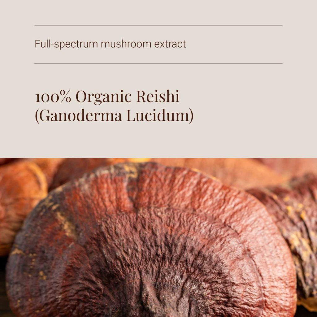 Bio-Reishi-Pilzextrakt - Pulver - Image 4