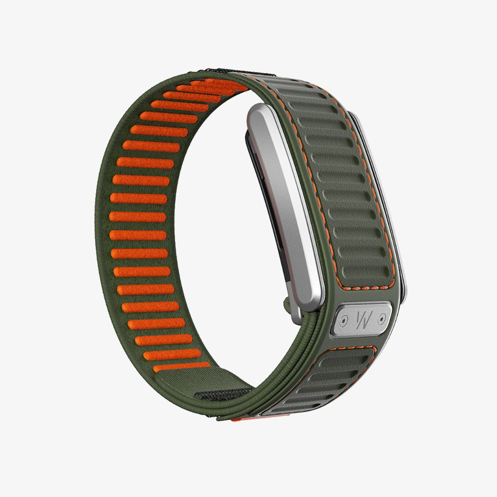 Navigator 5.0 - Evergreen - Image 4