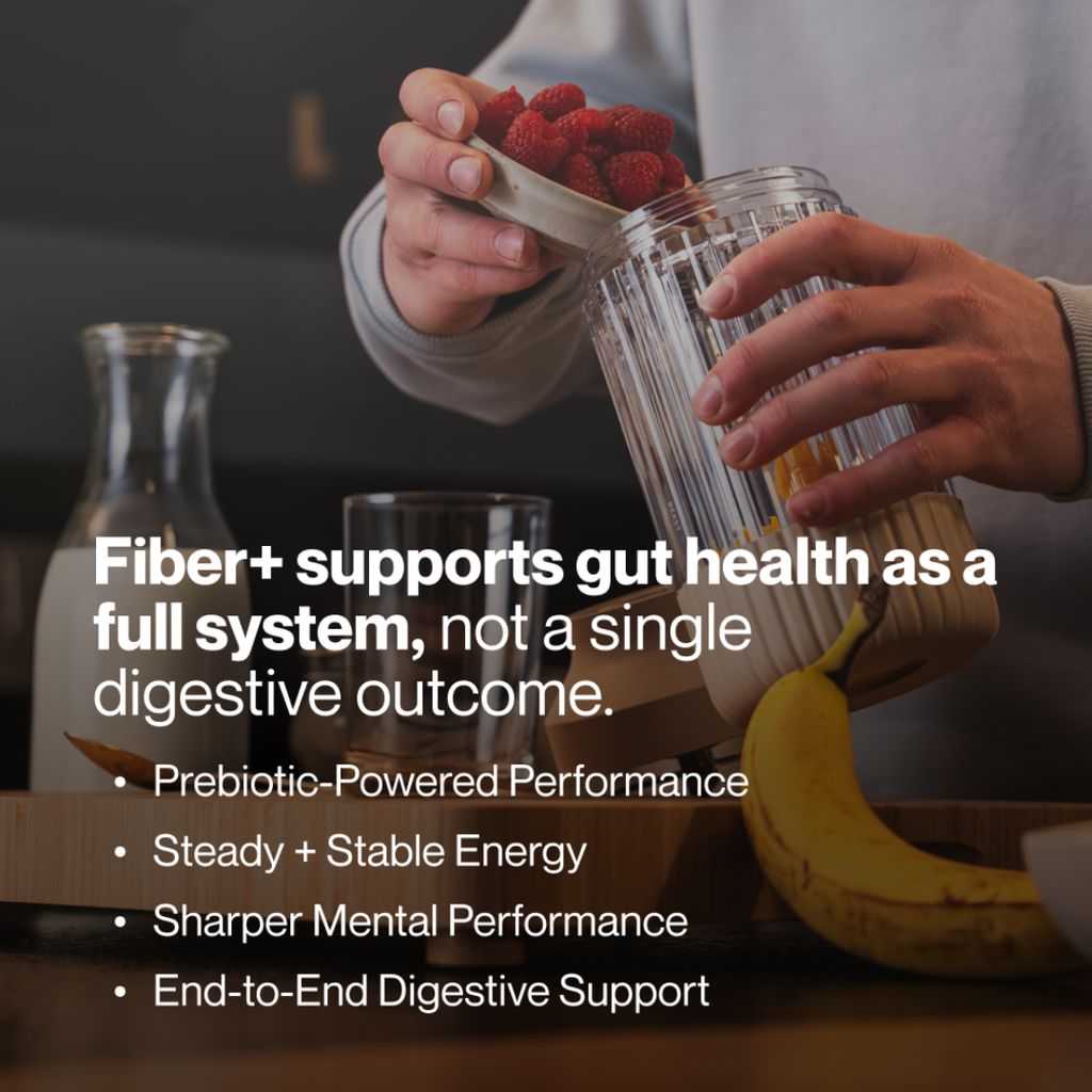 Fiber+ Reiner Zimt - Image 4