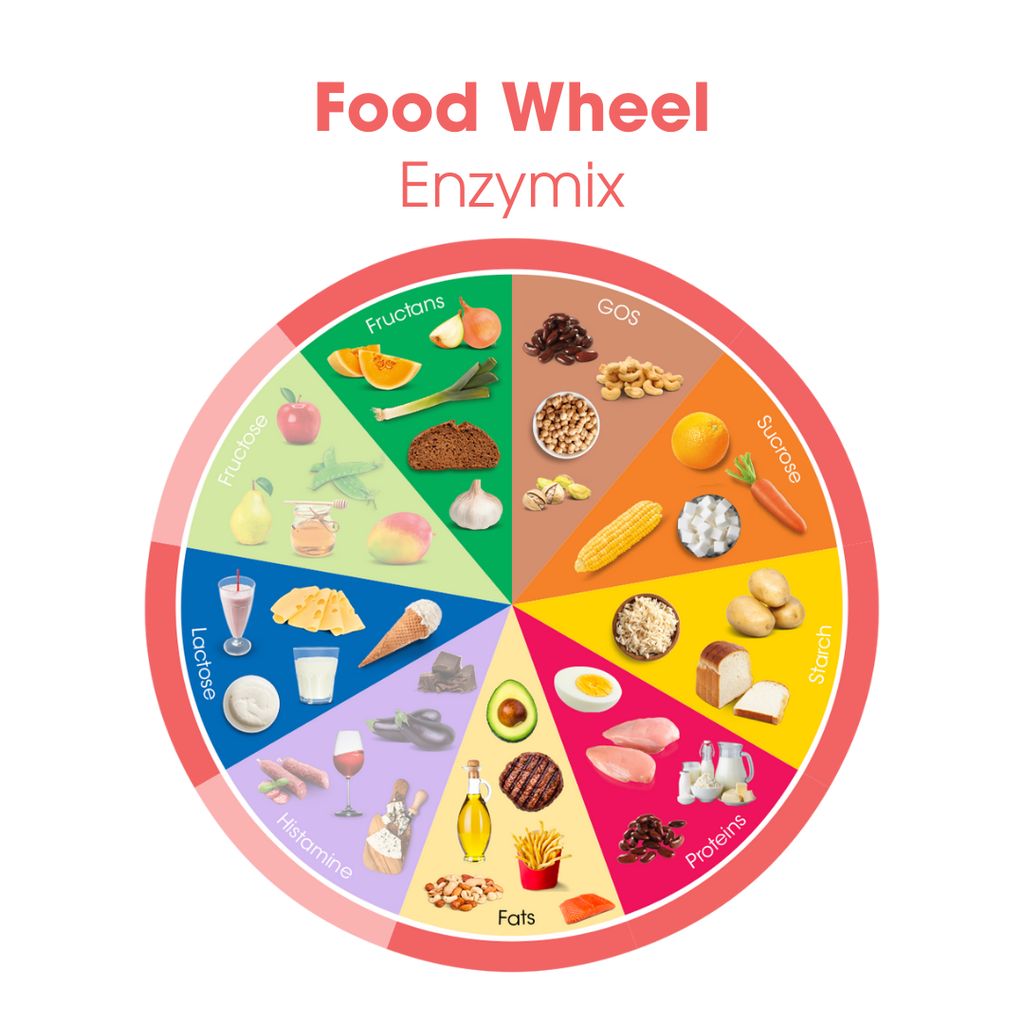 Enzymix - Image 5