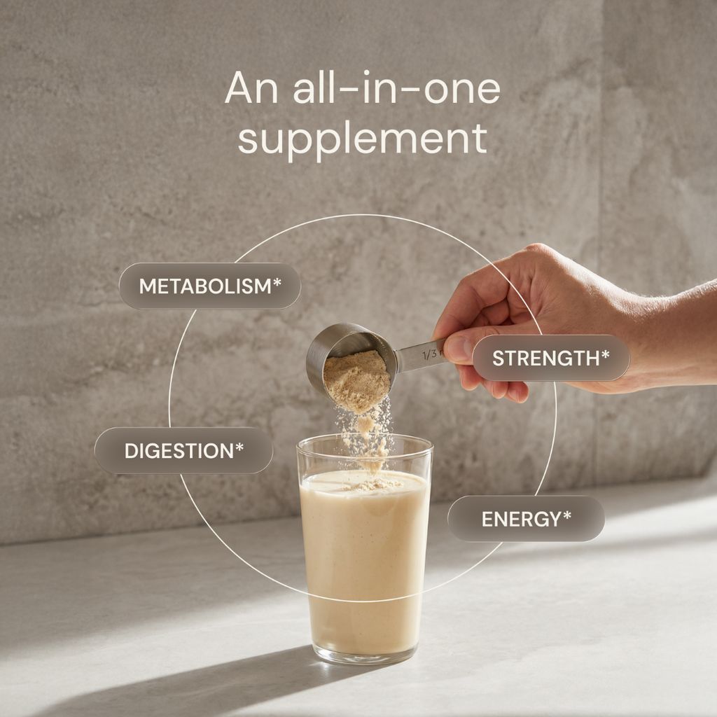 Stoffwechselprotein-Pulver - Chai - Image 2