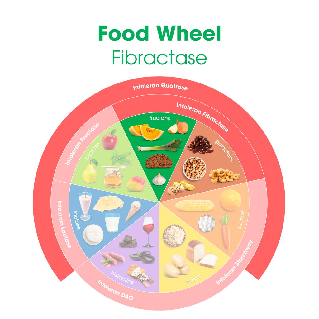 Fibraktase 1200 - Image 4