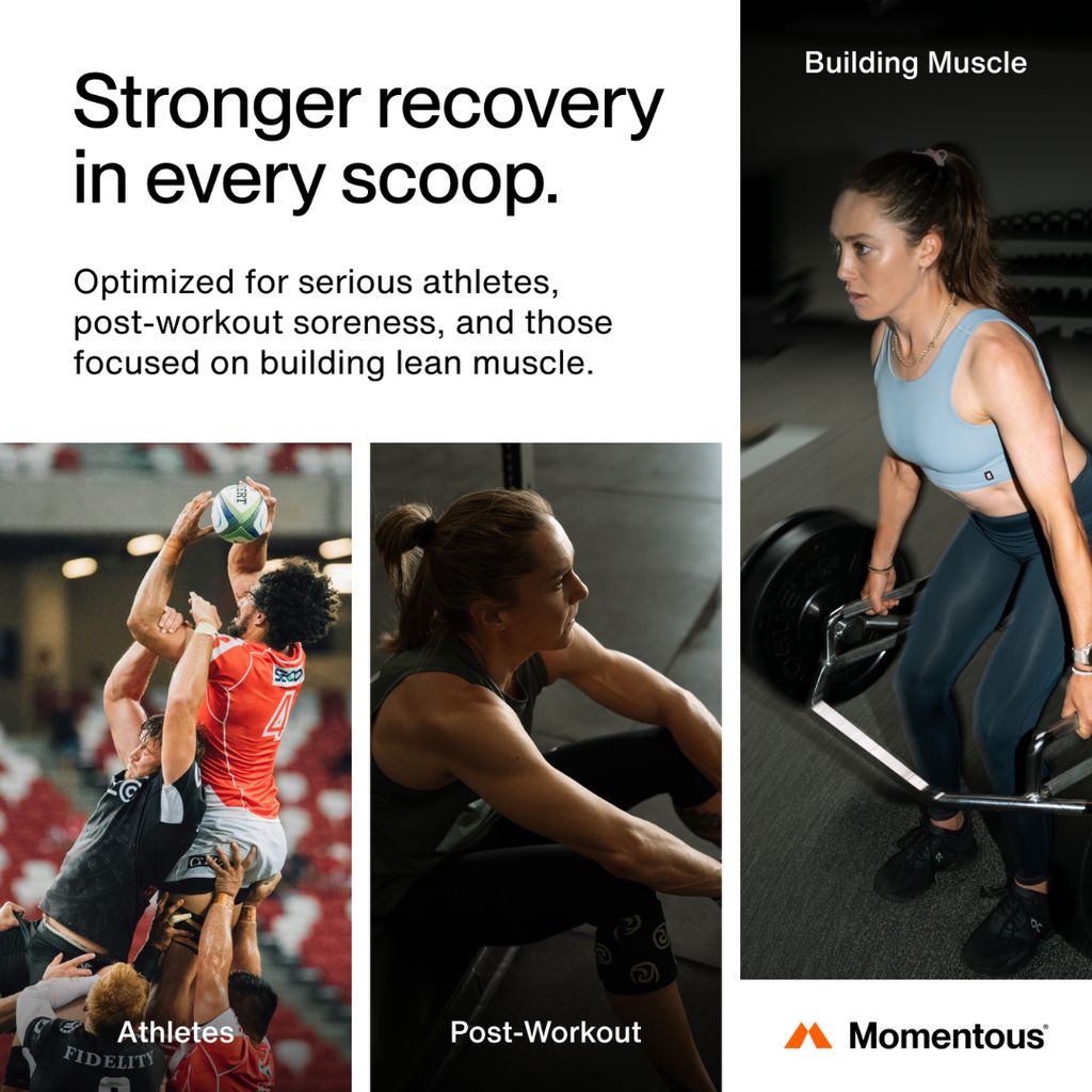 Recovery Grass-Fed Whey - Schokolade - Image 3