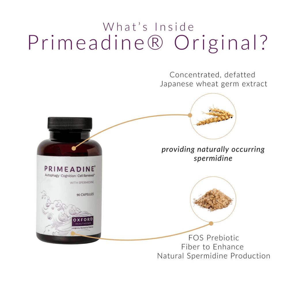 Primeadine® Original Spermidin - Image 3