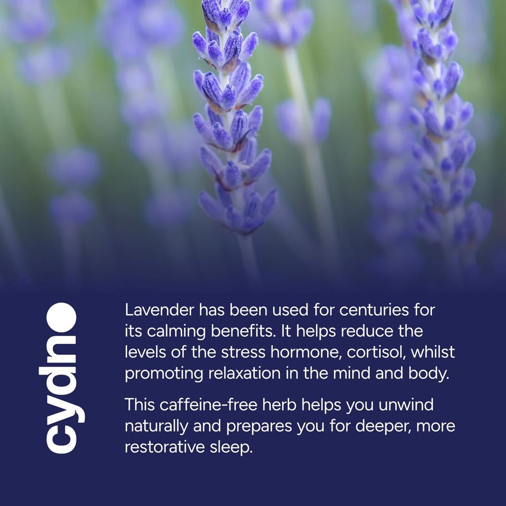 Schlaftee - Lavendel - Image 5