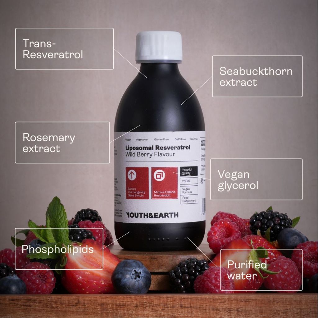 Liposomales Resveratrol 200 mg – Geschmack: Waldbeere - Image 4