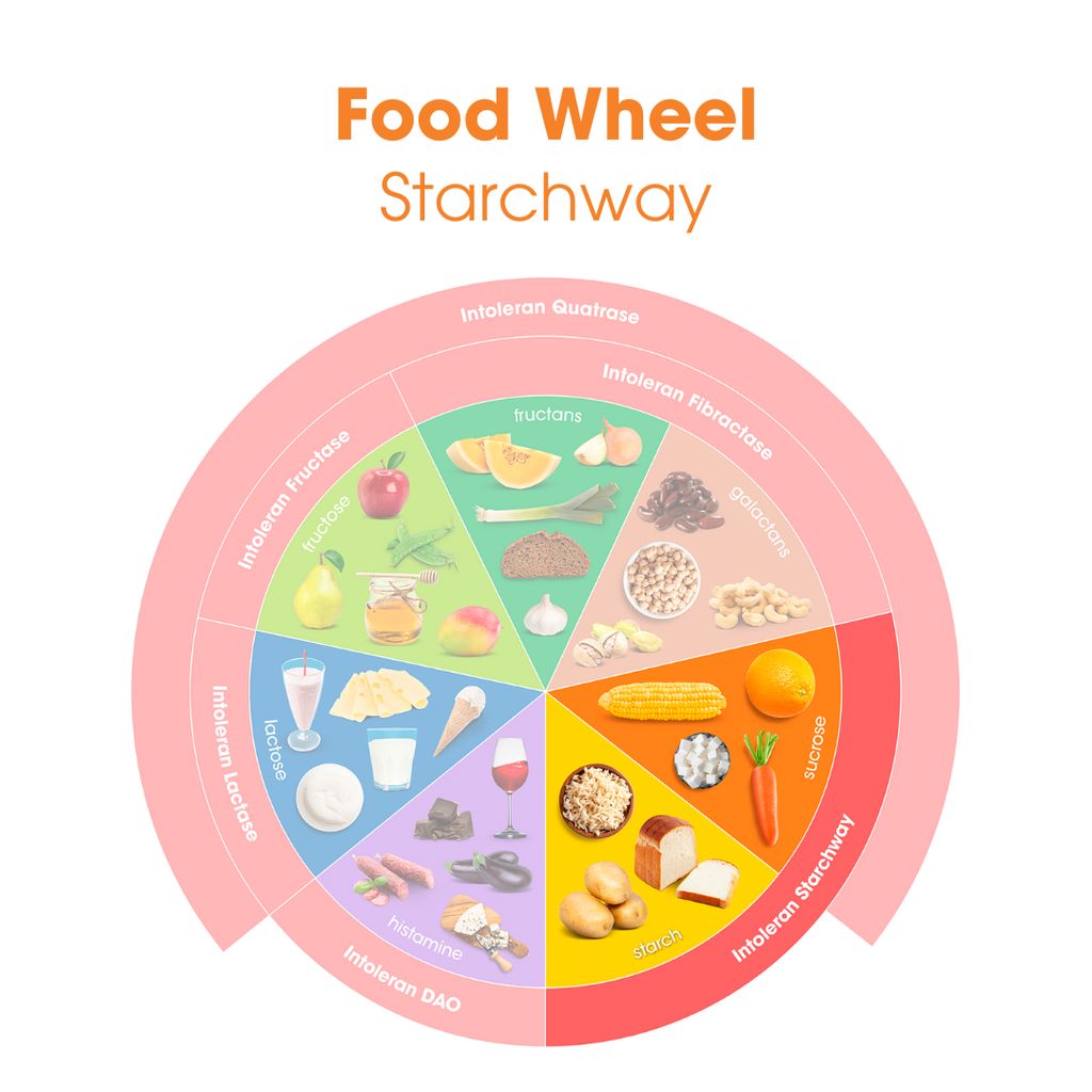 Starchway - Image 5