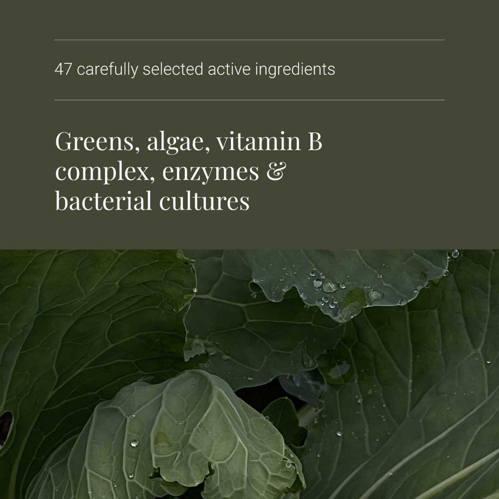 Bio-Superfood aus der Natur - Image 4