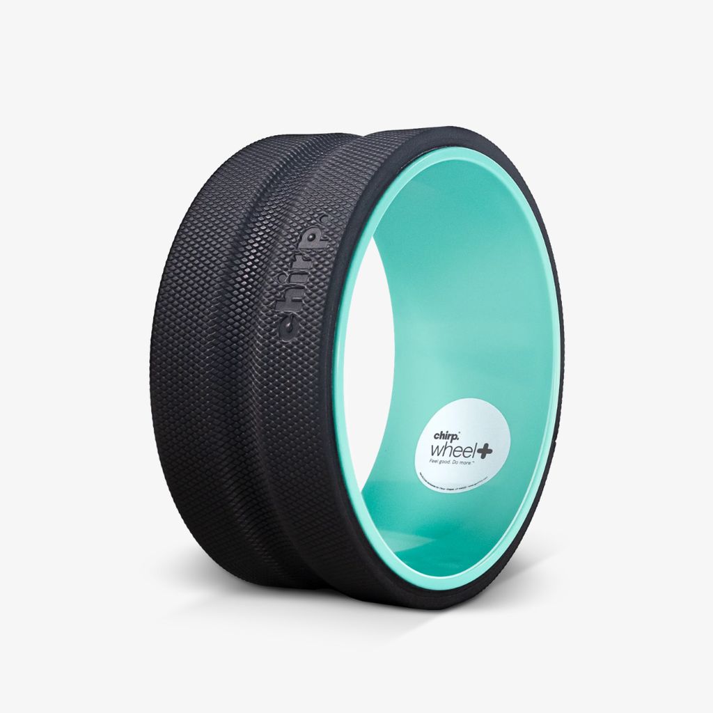 Chirp Wheel+ Single - 10" Firm - Image 1
