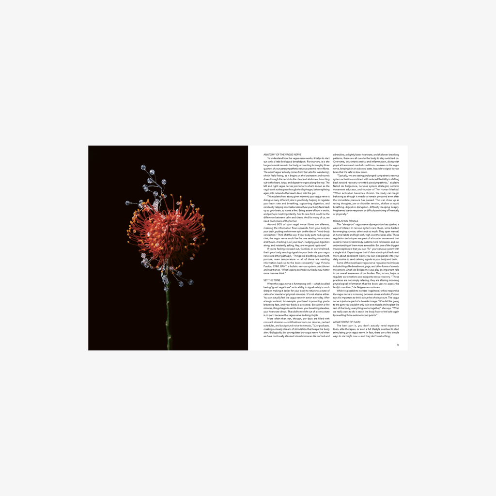 THE SOURCE — ISSUE 0 - Image 4