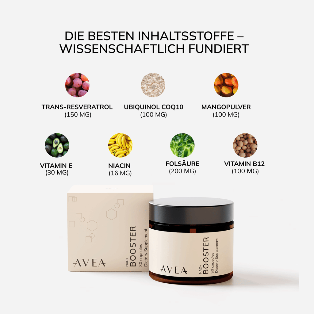 NAD+ Booster · NAD+-Verstärker - Image 2