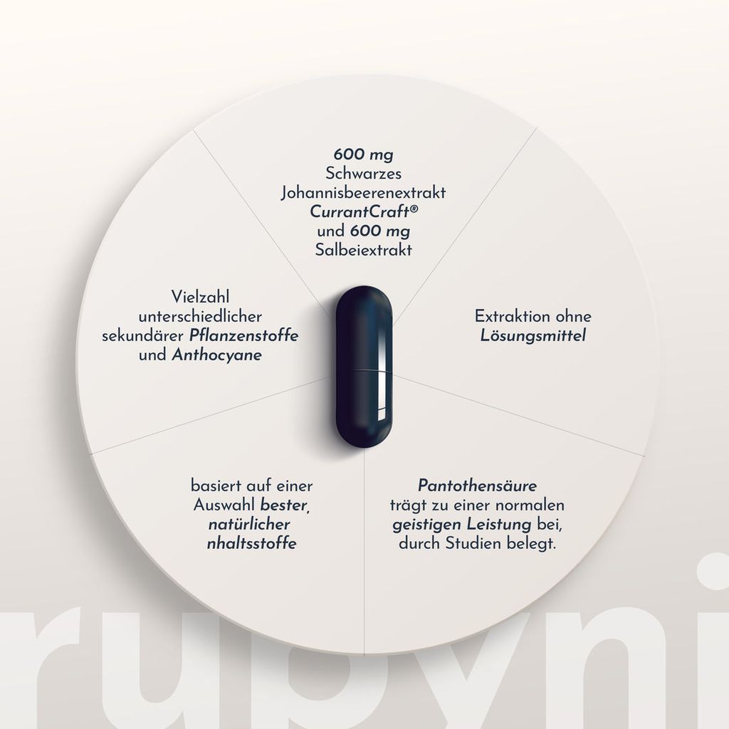 rubyni NEURO - Image 4