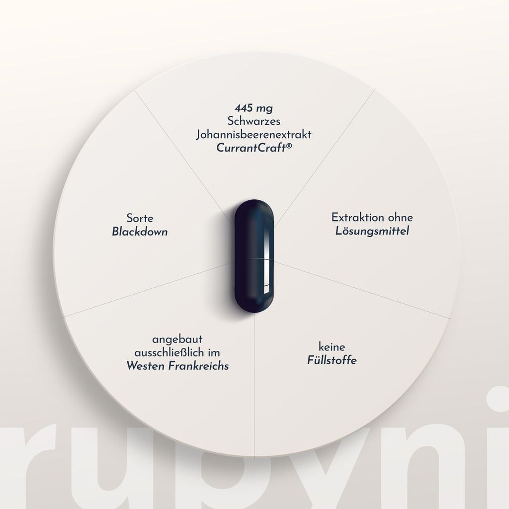 rubyni Schwarze Johannisbeere - Image 4