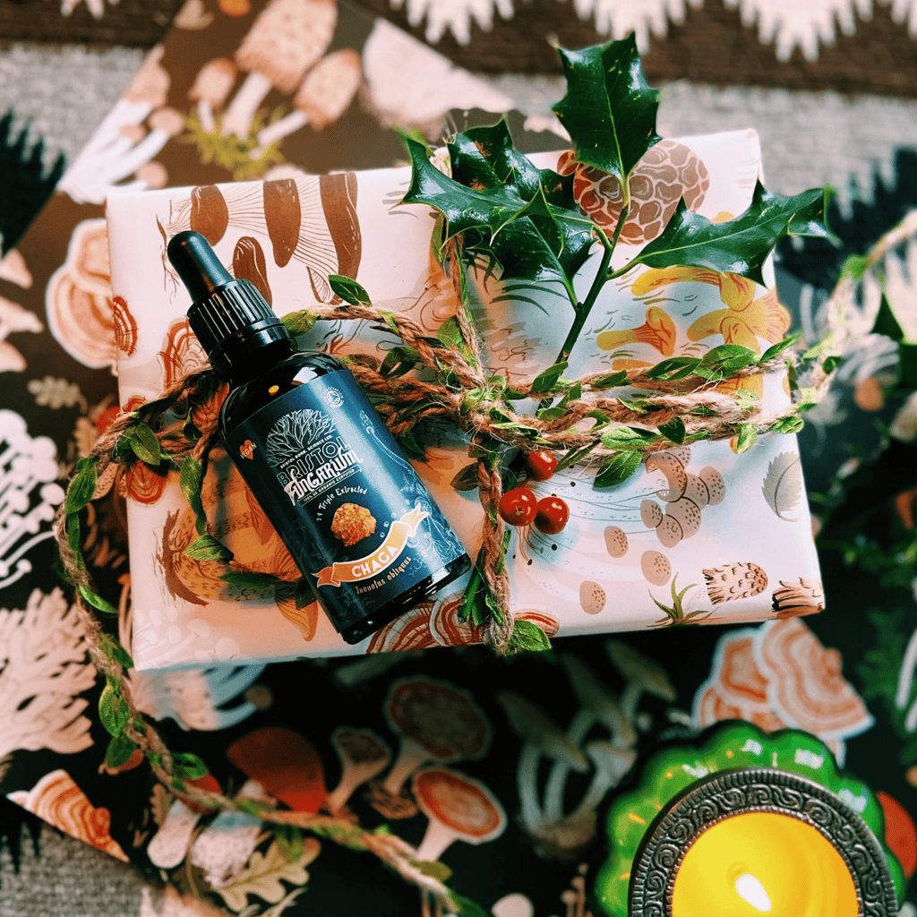 Bio-Chaga-Tinktur - Image 3