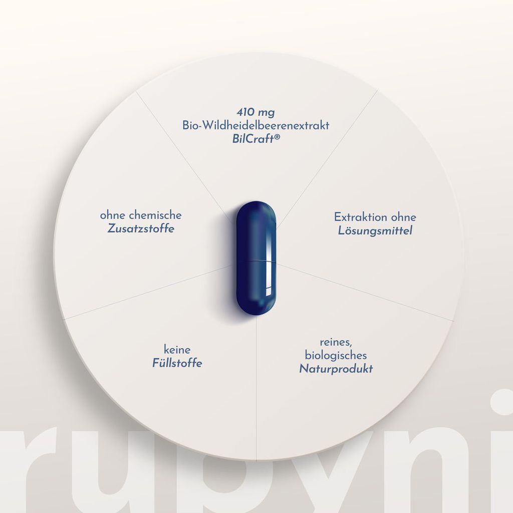 rubyni Wildheidelbeere - Image 4
