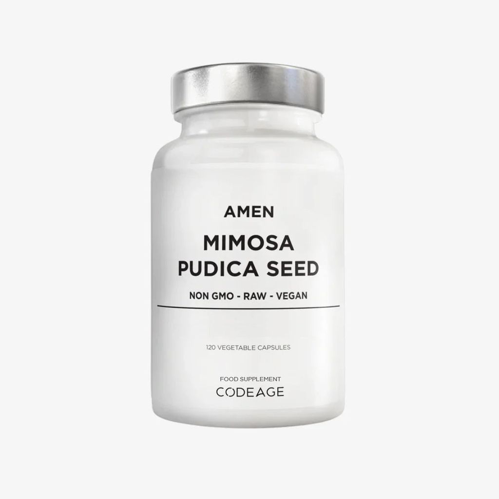 Amen Mimosa Pudica Samen - Image 1