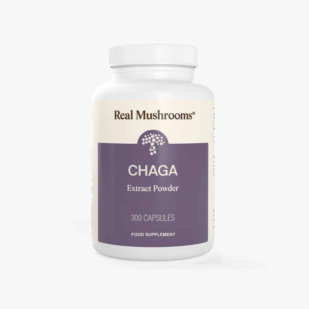 Chaga-Kapseln - Image 5