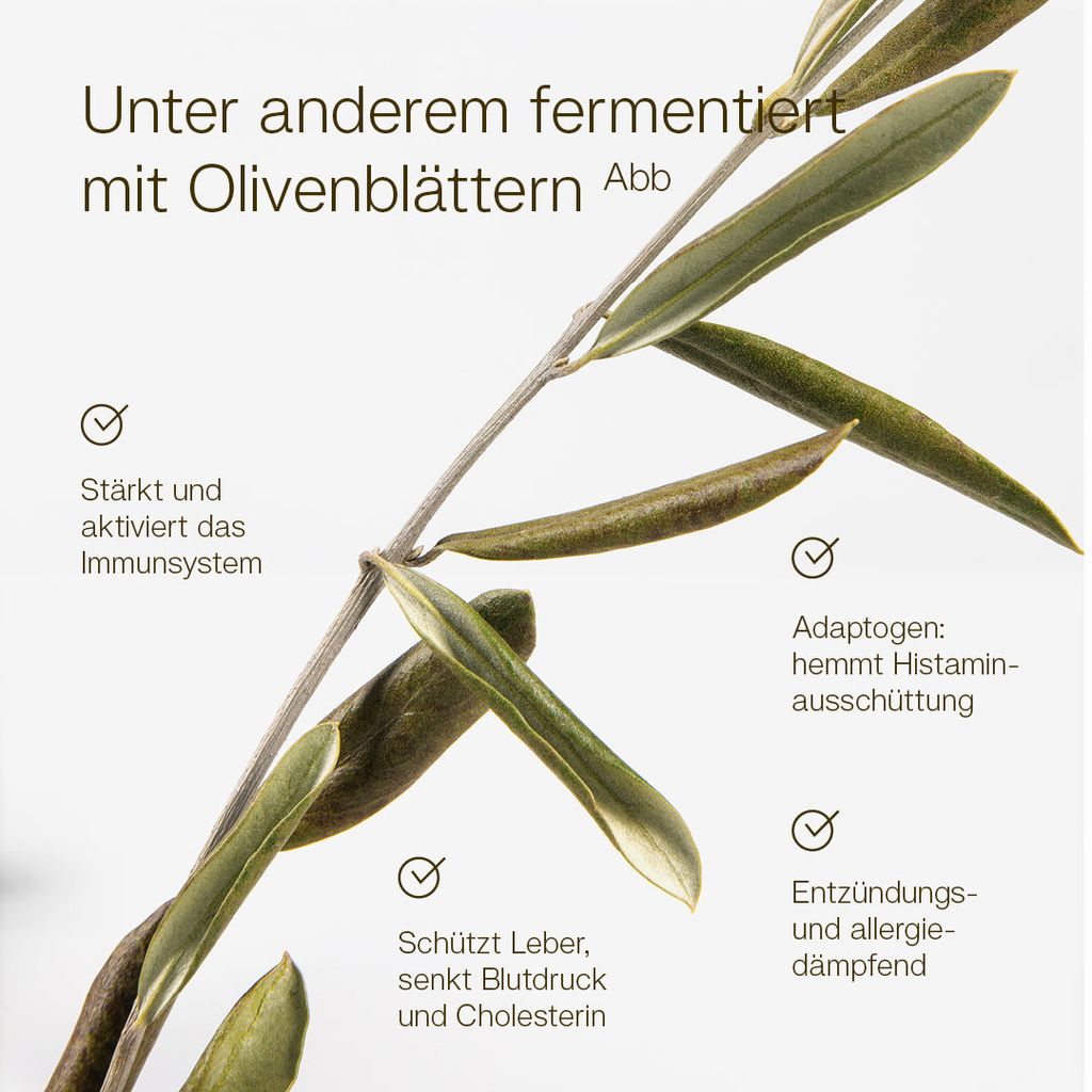 MikroVeda Life+ - Image 4
