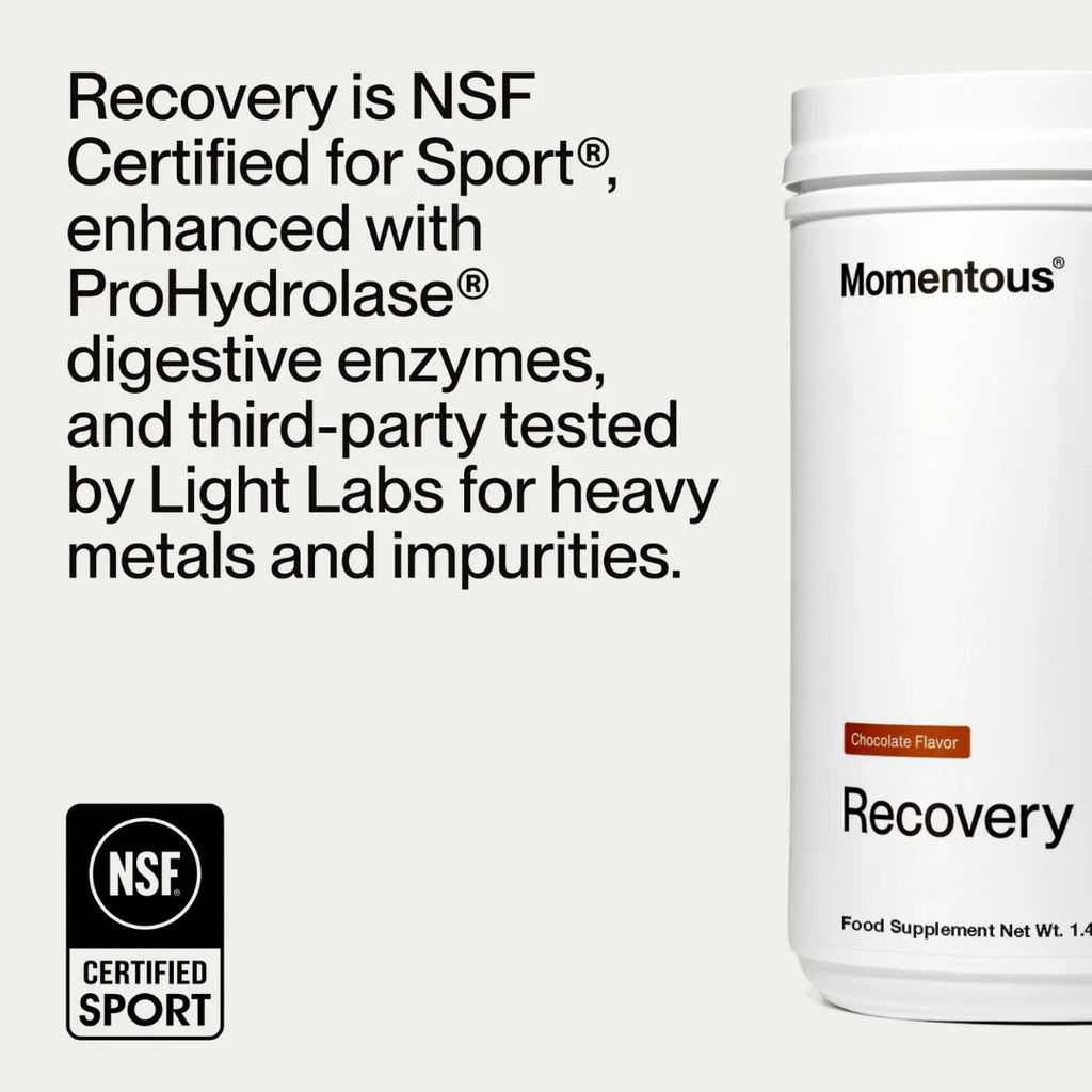 Recovery Grass-Fed Whey - Schokolade - Image 5