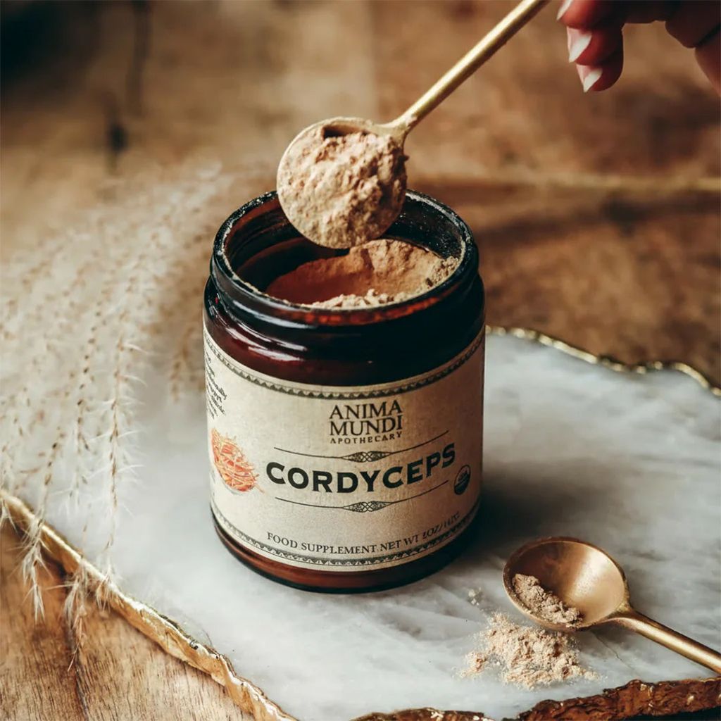 Cordyceps | Bio-Pilzpulver, Energie-Super-Tonikum - Image 3